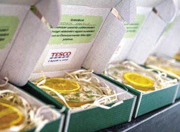 A Tesco élelmiszermentő hősei 73%-kal csökkentették a vállalat élelmiszer-hulladékát