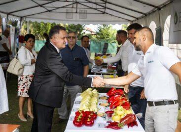 Innovation, cooperation and tender resources strengthen the competitiveness of horticulture