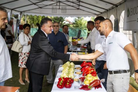 Az innováció, az együttműködés és a pályázati források erősítik a kertészetek versenyképességét