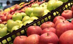 WAPA: EU apple stocks more than 20% lower than last year