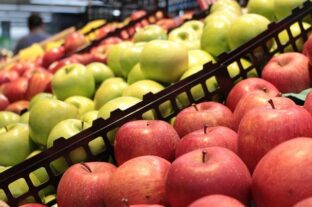 A fruit day doesn’t cure or sustain you – that’s why most corporate well-being programs don’t work