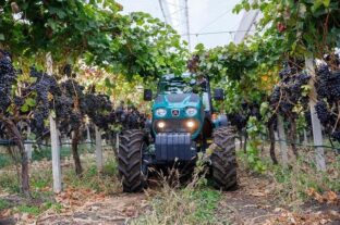 AM: a kormány támogatásával stabil alapokon nyugszik a szőlő- és borágazati szakigazgatás