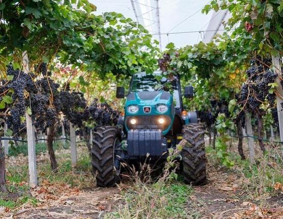 AM: a kormány támogatásával stabil alapokon nyugszik a szőlő- és borágazati szakigazgatás