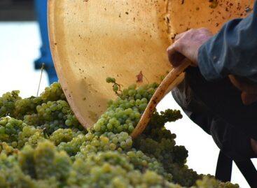 Priority official inspections during the harvest