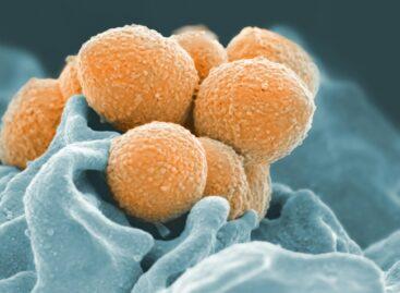 Toxic mycotoxins may be present in an increasing number of foods