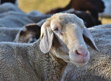 Policy issues at Farmer Expo