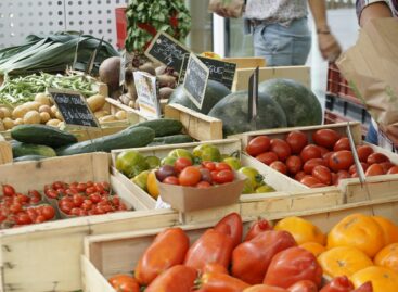 Sustainable shopping: who is it worth it for and why doesn’t it replace discount stores?