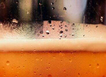 A new era in brewing: from rice to mushrooms – the sustainable beer specialties of the future