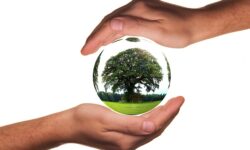 AM: új projekt indul a szemléletformálás érdekében, egy lépéssel közelebb a természethez