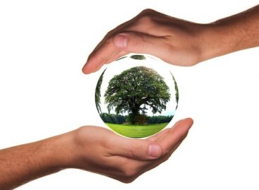 AM: new project launched to shape attitudes, one step closer to nature