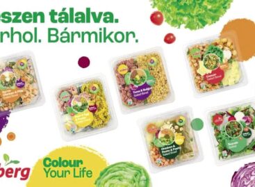 Vegán opcióval bővül ősszel az Eisberg komplex salátatál-kínálata
