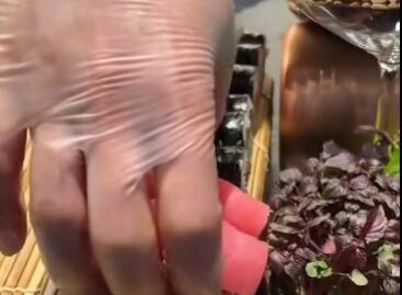Food styling in Vietnam – Video of the day