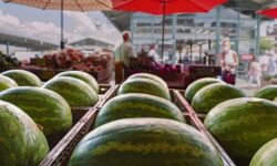Half-term melon overview: difficult season, market-destroying promotions, desperate producers