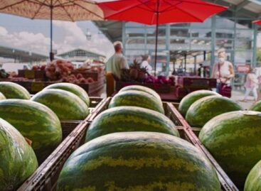 Half-term melon overview: difficult season, market-destroying promotions, desperate producers