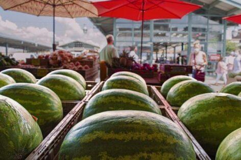 Half-term melon overview: difficult season, market-destroying promotions, desperate producers