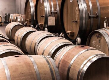 Increased attention in cellars – must gas can pose a serious threat