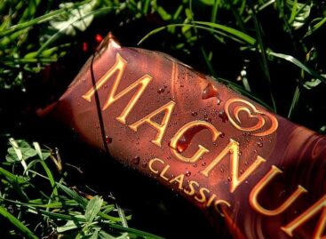 The Magnum Ice Cream Company taps NotCo AI for product innovation