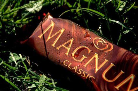 The Magnum Ice Cream Company taps NotCo AI for product innovation