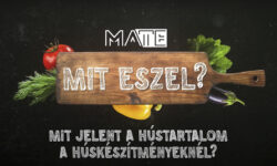 Mit jelent a hústartalom a húskészítményeknél?