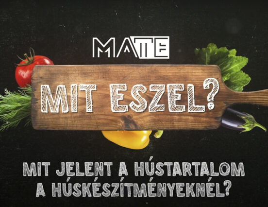 Mit jelent a hústartalom a húskészítményeknél?