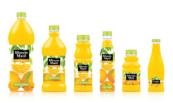(EN) Coca-Cola aims to help solve the orange juice crisis with AI