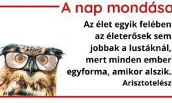 A nap mondása