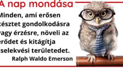 (HU) A nap mondása