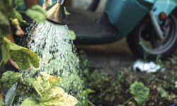 Climate change: a concern that is losing importance in the EU