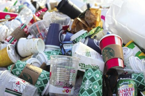 Glass and paper are the most recycled