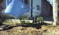 HUF 67bn budget for sustainable water management