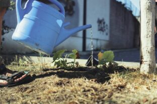 HUF 67bn budget for sustainable water management