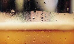 A fenntarthatóság a söripart is elérte