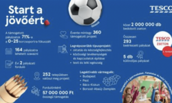 Az iskolakezdéssel együtt startolhatnak a Tesco gyermekeket, fiatalokat és helyi közösségeket támogató pályázatának nyertes projektjei – közel 2 millióan szavaztak rájuk