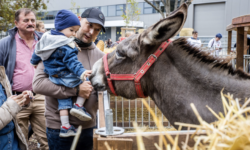 Exotic flavors, record-long kürtőskalács and native animals at the 82nd OMÉK