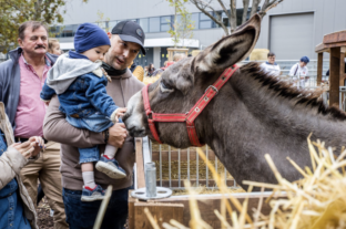 Exotic flavors, record-long kürtőskalács and native animals at the 82nd OMÉK