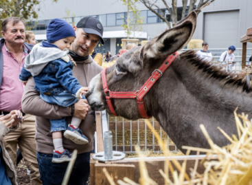 Exotic flavors, record-long kürtőskalács and native animals at the 82nd OMÉK