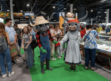 AMC: this year’s OMÉK welcomed more than 80 thousand visitors