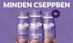 Milka chocolate milk 250 ml