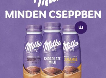 Milka chocolate milk 250 ml