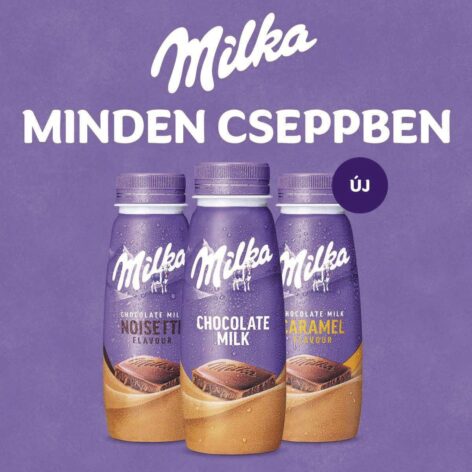 Milka chocolate milk 250 ml