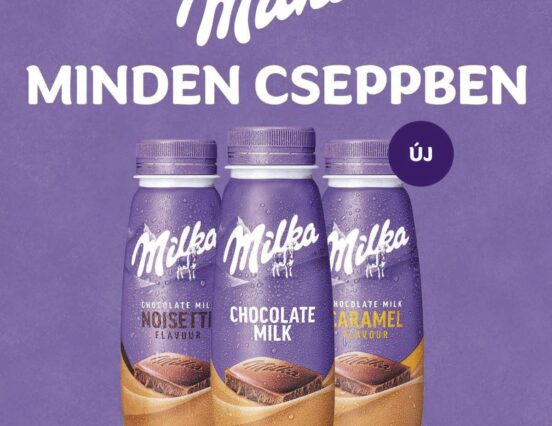 Milka chocolate milk 250 ml