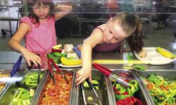 Buffet system in schools