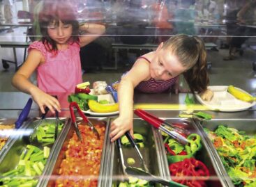 Buffet system in schools