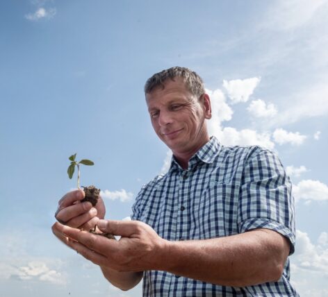 Syngenta’s sustainability program reaches a new level in Dióskál