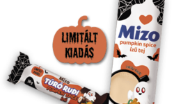 Frightfully delicious flavours from Mizo!