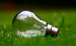 A zöld finanszírozás a globális energiapiac egyik fő motorja lett