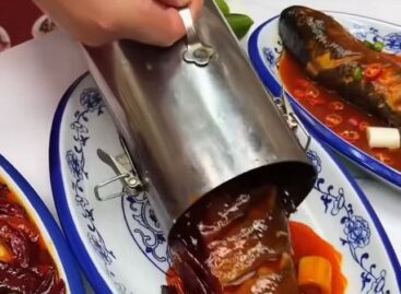 21. századi kínai street food, képzelt magyar beütéssel – A nap videója