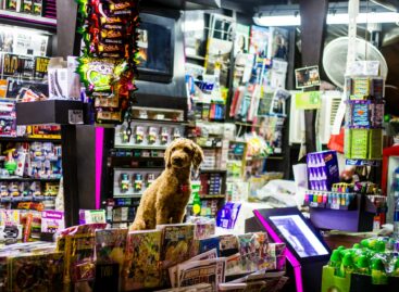 Pet shops tested by Supermint – problems found in several places