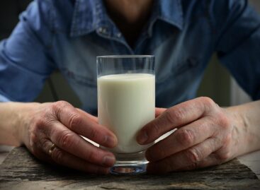 Milk price increased by 19 percent in Hungary in one year