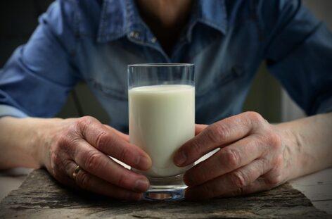 Milk price increased by 19 percent in Hungary in one year